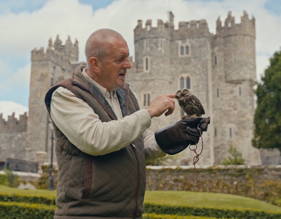 Falconry