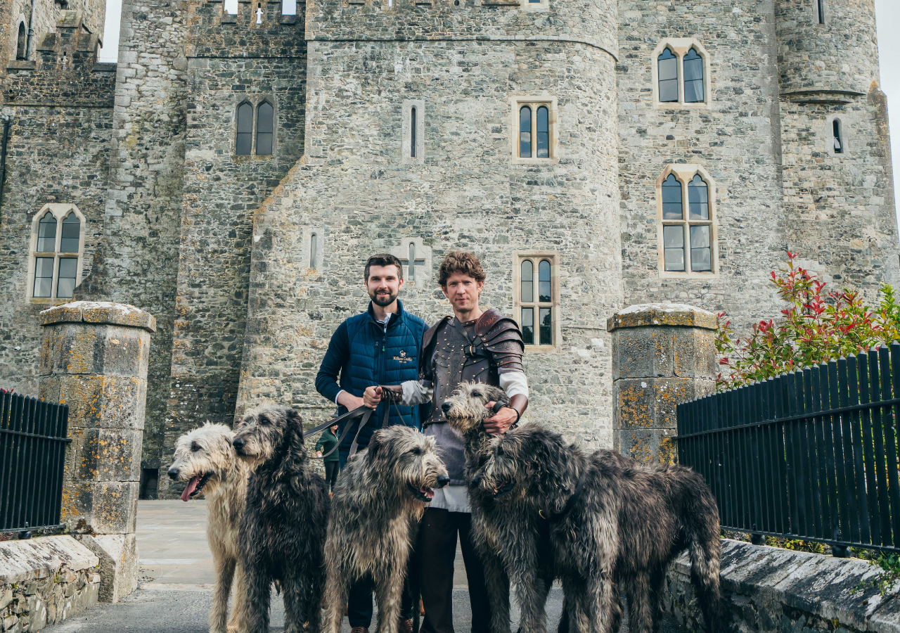 Wolf Hound Experience